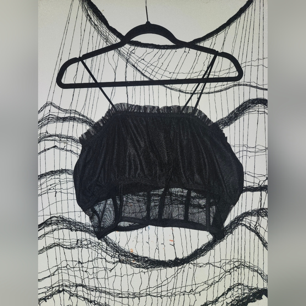 🌠3/$28🌌 ✨️Elegant Black Sheer Crop Top✨️